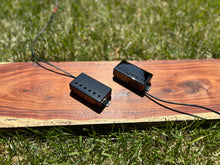 Load image into Gallery viewer, Blade and Bloom